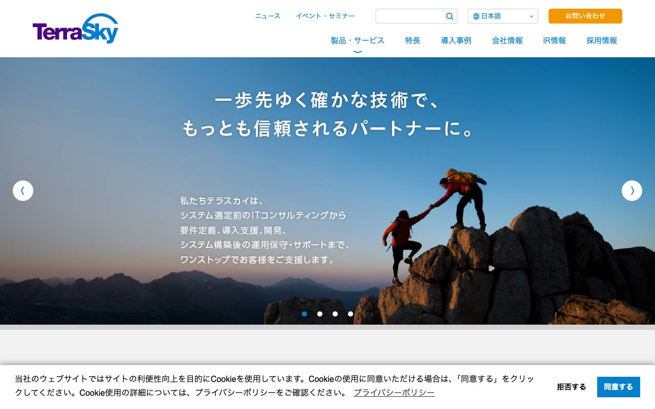 株式会社テラスカイ official website