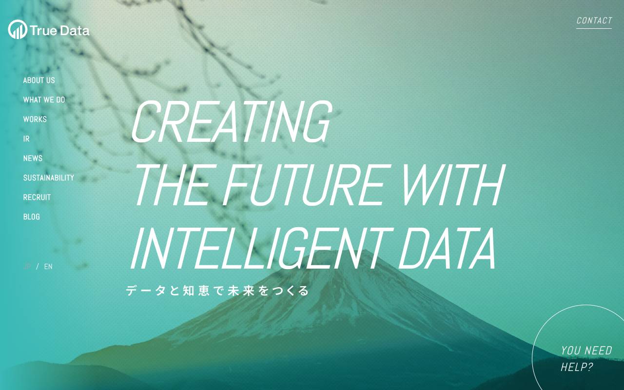 株式会社Ｔｒｕｅ　Ｄａｔａの公式サイト