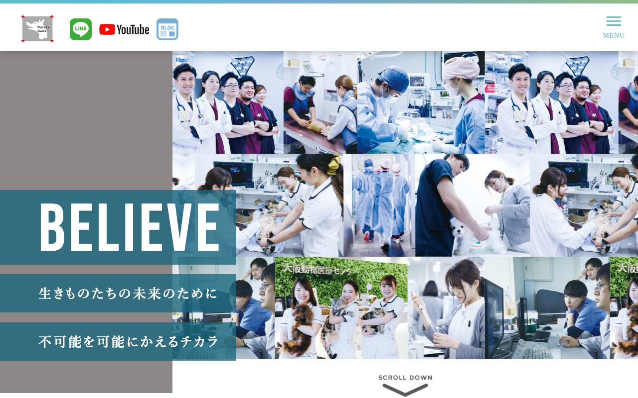 株式会社ＷＯＬＶＥＳ　ＨＡＮＤの公式サイト
