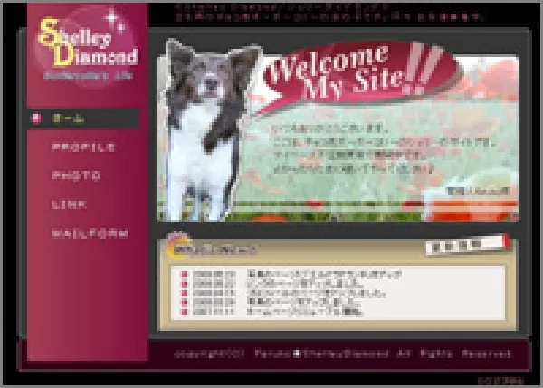 ボーダーコリー シェリー・ダイアモンド