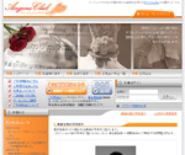 国際結婚支援を行う企業さまのメンバー用のサイト