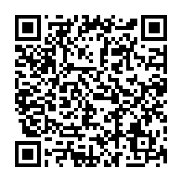 自社サイト　携帯フラッシュ