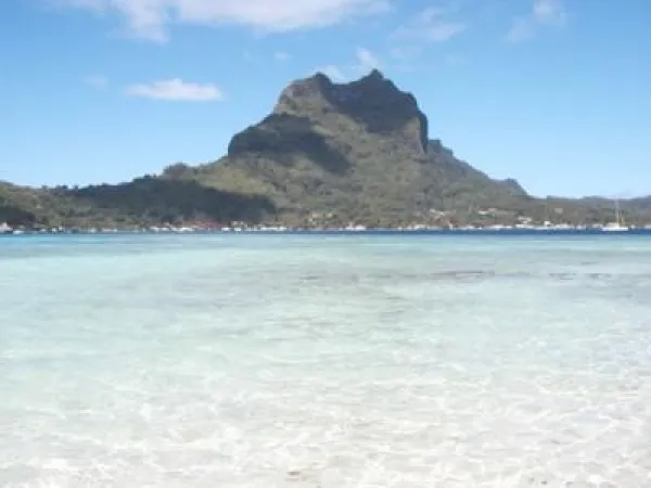 【ヤフー　セカンドライフ】　サポーター