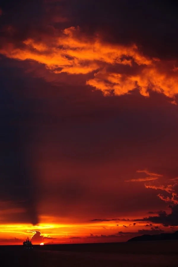 カメラマン - 取材撮影承ります