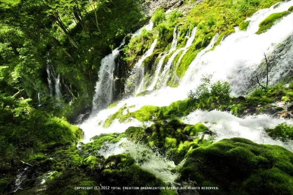 写真撮影 ＞ 廃墟や自然、その他の撮影