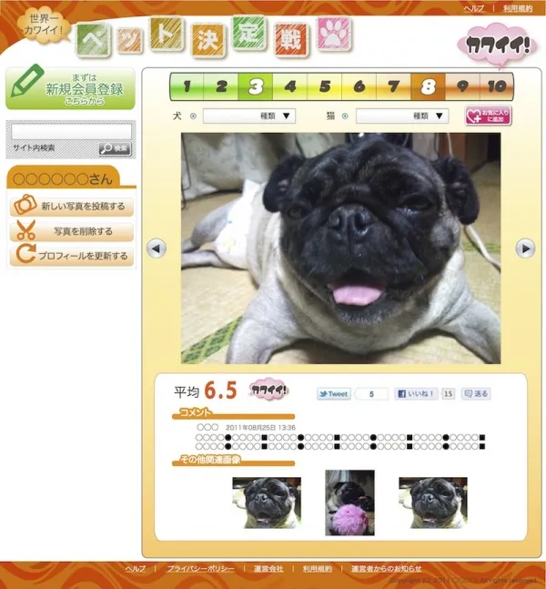 ペット評価サイトデザイン（html&amp;css）