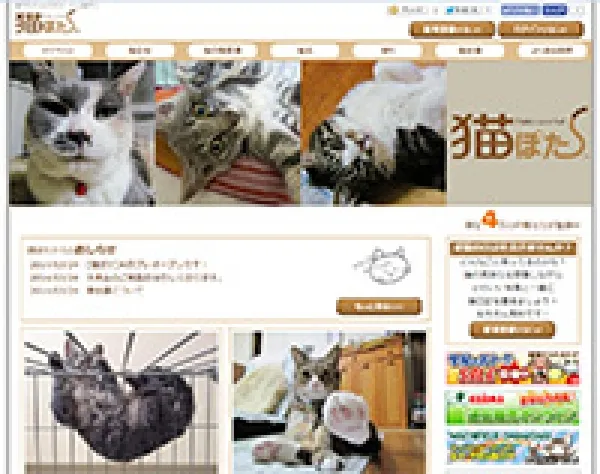 オリジナルSNS開発