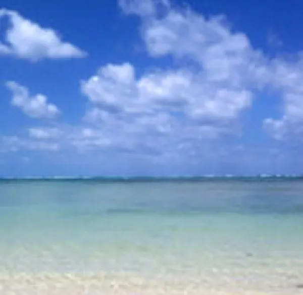 実績・プロフィールは、こちらご覧ください。