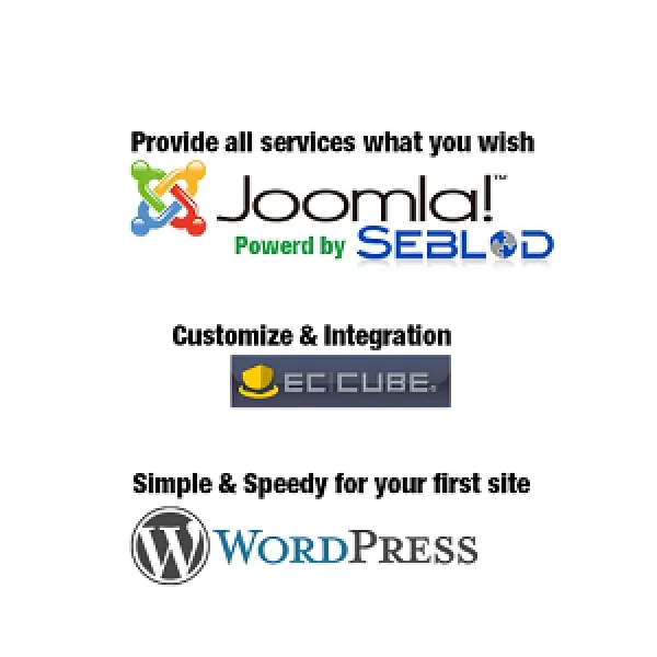 自動車メーカーサイト開発