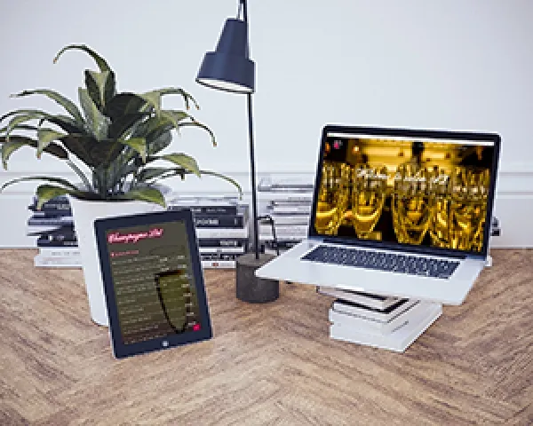 WordPress型ホームページ　＜飲食店・Bar＞