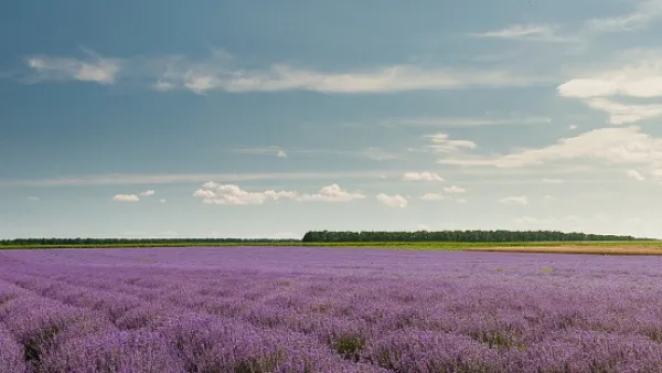 HTMLのコーディング業務