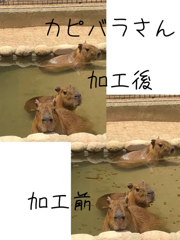 画像の加工処理