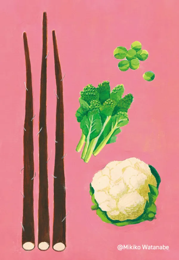 冬野菜・春野菜のイラスト／寒中見舞い