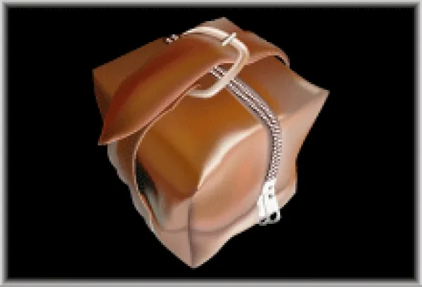 Illustratorでのデザイン制作