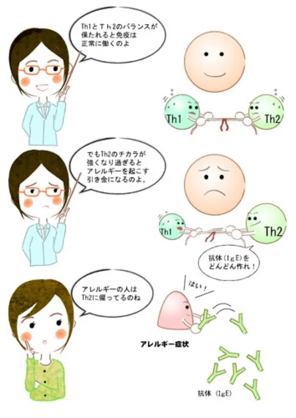 サンプルイラスト