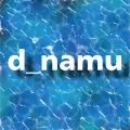 d_namu