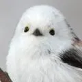 いつき
