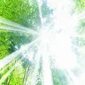 もちずきまこと