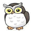 OWL企画