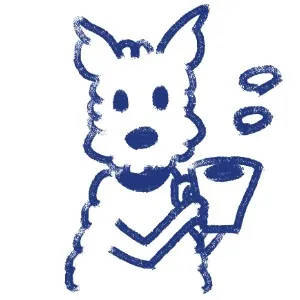 yori