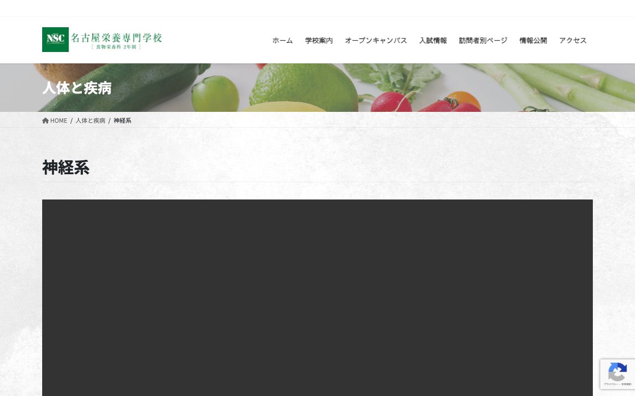 名古屋栄養専門学校 公式サイト