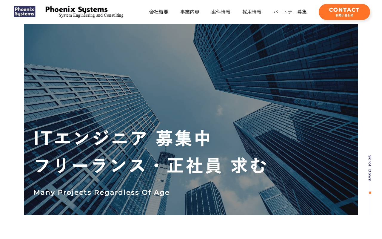 株式会社フェニックスシステムズの公式サイト