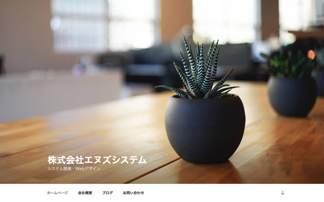 株式会社エヌズシステムの公式サイト